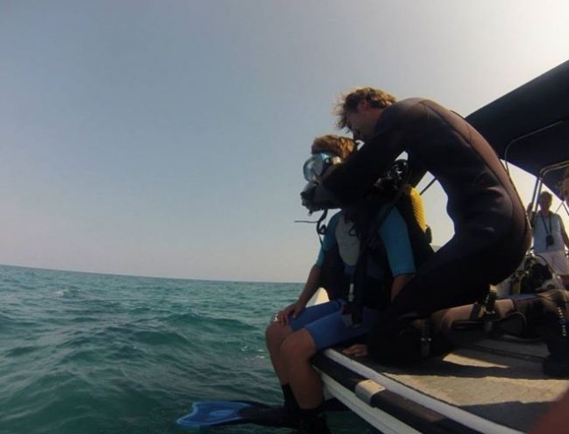  Bereit zum Sprung ins Wasser 